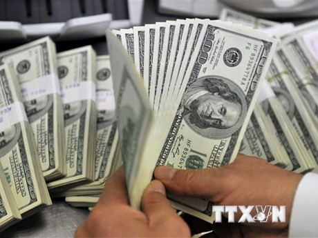 Nhân viên kiểm đồng USD tại một ngân hàng. (Ảnh: AFP/TTXVN)