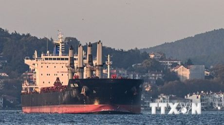 Tàu chở ngũ cốc của Ukraine di chuyển dọc Eo biển Bosphorus ở Istanbul, Thổ Nhĩ Kỳ, ngày 2/11/2022. (Ảnh: AFP/TTXVN)