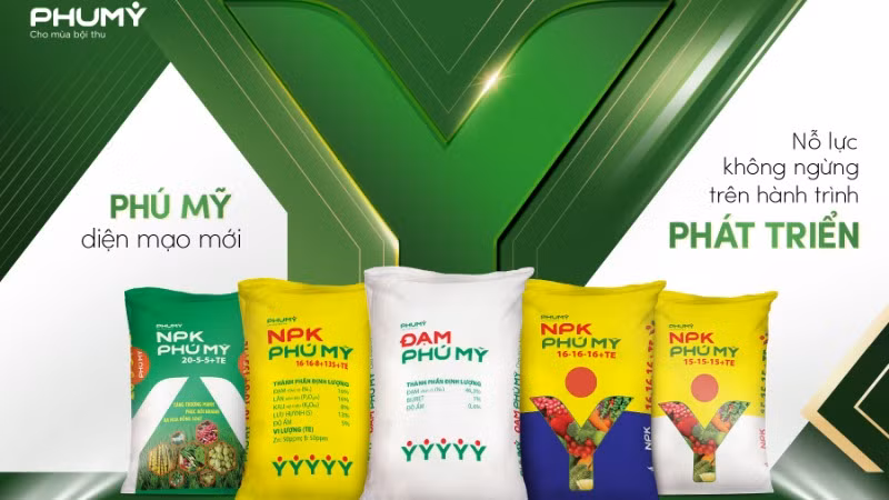 Bao bì theo bộ nhận diện PHUMY mới được ra mắt.