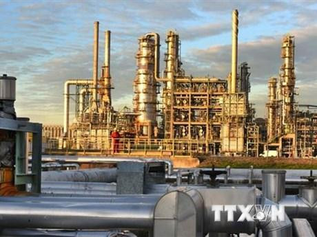 Hệ thống đường ống dẫn khí Druzhba của Nga. (Ảnh: themoscowtimes.com/TTXVN)