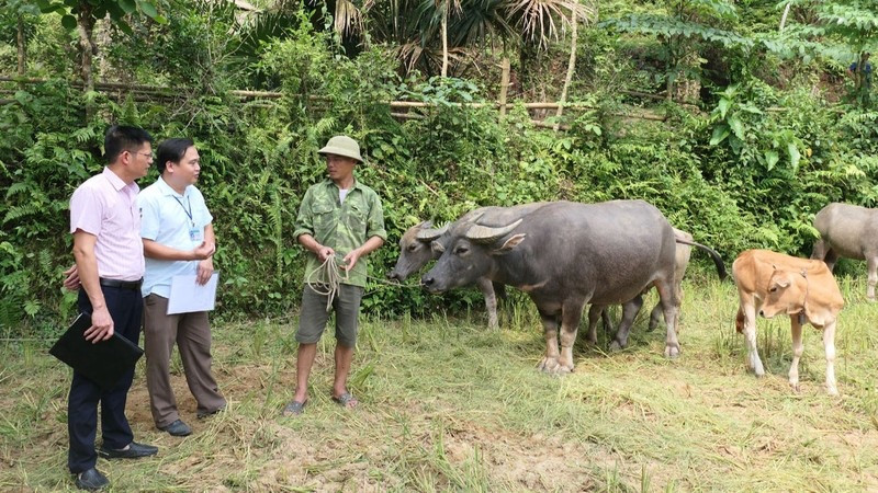 Cán bộ Phòng Giao dịch Ngân hàng Chính sách Xã hội huyện Vị Xuyên kiểm tra việc sử dụng vốn vay theo Nghị quyết 11 tại xã Ngọc Linh. 
