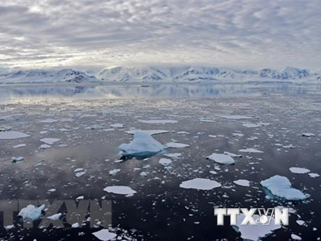 Băng trôi tại Vịnh Chiriguano, quần đảo Nam Shetland, Nam Cực, ngày 7/11/2019. (Ảnh: AFP/TTXVN)