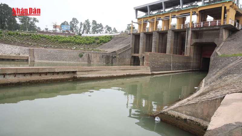 Nâng cao chất lượng nước trong hệ thống thủy lợi Bắc Hưng Hải