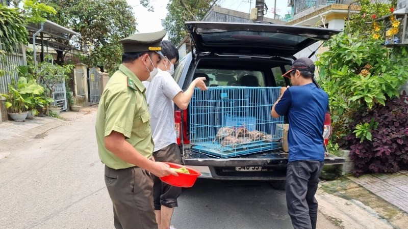Cán bộ Hạt kiểm lâm thành phố Huế (cũ) tiếp nhận động vật hoang dã từ người dân để đưa trả về thiên nhiên.
