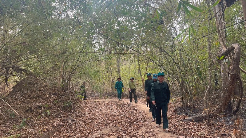 Đội bảo vệ rừng Cầu Treo đi tuần tra trong rừng.