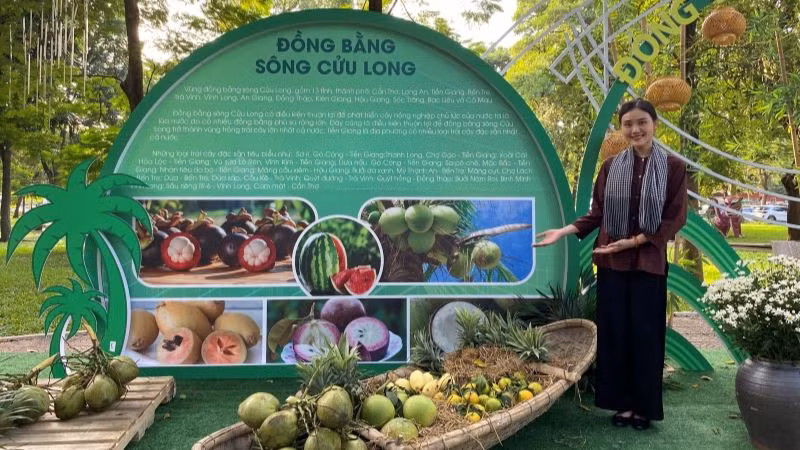 Các loại trái cây đặc sản vùng miền được giới thiệu tại lễ hội.