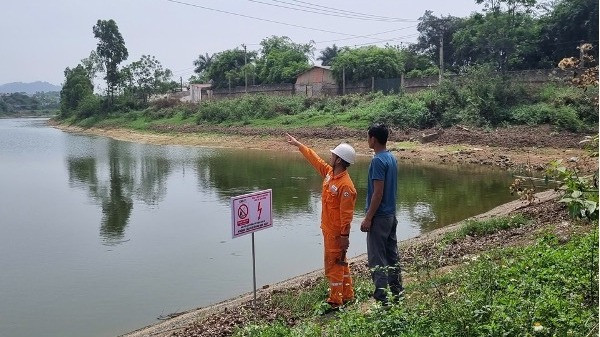 Công ty Điện lực Vĩnh Phúc bảo đảm an toàn hành lang lưới điện