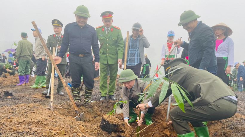 Đồng chí Đỗ Đức Duy, Ủy viên Trung ương, Bí thư Tỉnh ủy Yên Bái tham gia trồng tre măng Bát Độ. (Ảnh THANH SƠN)