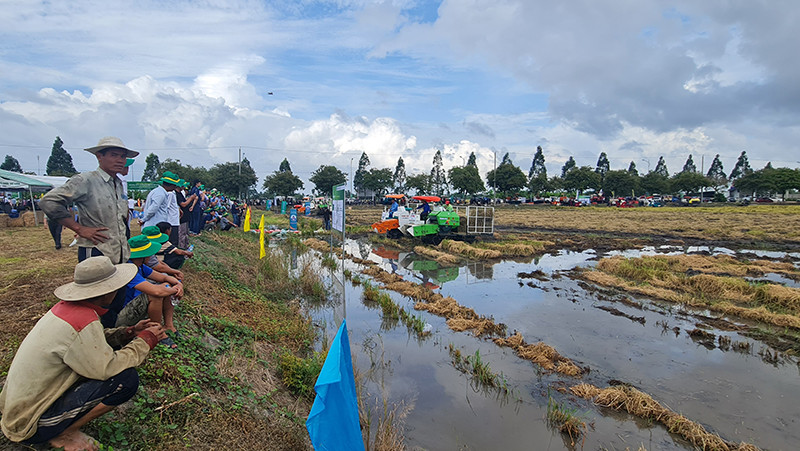 Trình diễn máy cuộn rơm khô và rơm ướt.