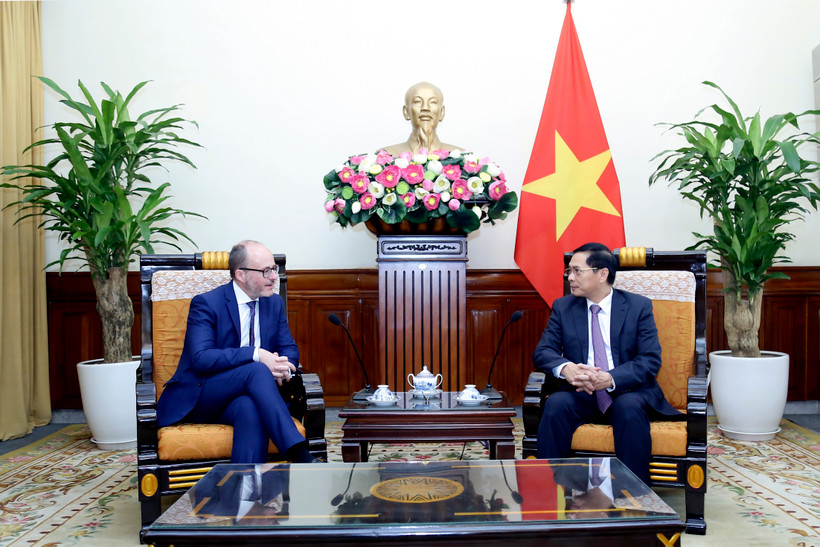 Bộ trưởng Ngoại giao Bùi Thanh Sơn tiếp Quốc vụ khanh về Ngoại giao và các Vấn đề toàn cầu Tây Ban Nha, Diego Martinez Belío.