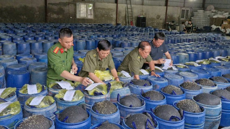 Các thùng giá đỗ ngâm hóa chất bị Công an tỉnh Nghệ An phát hiện, thu giữ. (Ảnh: Công an tỉnh Nghệ An)