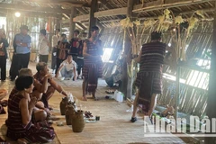 Lễ hội Sayangva (cúng Thần Lúa) của người Chơ Ro ở Đồng Nai.