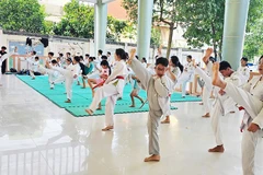 Võ thuật là môn học được nhiều em nhỏ lựa chọn tại các lớp năng khiếu hè.