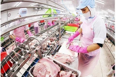 Nông sản và thủy hải sản nhiều khả năng được xem xét hưởng ưu đãi trong khuôn khổ “đối tác tương đồng”. Ảnh: TTXVN 