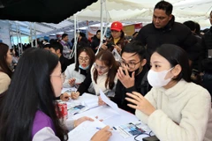 Các doanh nghiệp tìm kiếm lao động tại Ngày hội việc làm được tổ chức ngay sau Tết Nguyên đán Ất Tỵ 2025, tại Khu công nghiệp VSIP Nghệ An.