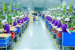 Công nhân làm việc tại Công ty Trách nhiệm hữu hạn Luxshare-ICT Nghệ An thuộc Khu công nghiệp VSIP Nghệ An 1.