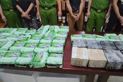 60 bánh heroin bị Công an tỉnh Nghệ An thu giữ. (Ảnh: CANA)