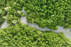 Hướng đi cho phát triển kinh tế tuần hoàn ở Thành phố Hồ Chí Minh