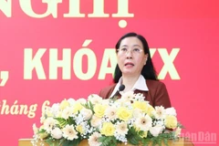Đồng chí Bùi Thị Quỳnh Vân, Ủy viên Trung ương Đảng, Bí thư Tỉnh ủy, Chủ tịch Hội đồng nhân dân tỉnh Quảng Ngãi phát biểu kết luận hội nghị.