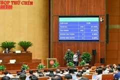 [Video] Quốc hội biểu quyết thông qua Luật sửa đổi Quốc tịch Việt Nam