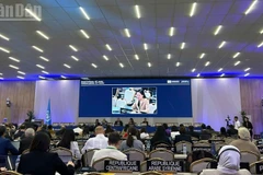 Đại sứ Nguyễn Thị Vân Anh, Trưởng Phái đoàn Thường trực Việt Nam bên cạnh UNESCO, giới thiệu dự thảo Nghị quyết khuyến nghị Đại hội đồng Liên hợp quốc xem xét phát động “Thập kỷ quốc tế về Văn hóa vì phát triển bền vững”. (Ảnh: KHẢI HOÀN - MINH DUY)