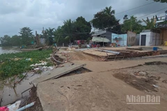 Sạt lở đất đe dọa cù lao Mỹ Hòa Hưng.