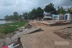 Sạt lở cù lao Mỹ Hòa Hưng ven sông Hậu.
