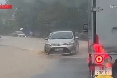 [Video] Miền Bắc ghi nhận lượng mưa tháng 6 vượt kỷ lục hơn 40 năm