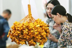 Hội chợ “đặc sản sa mạc” tại Algeria