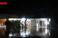 [Video] Cấp điện trở lại cho hơn 83.000 khách hàng vùng lũ Nghệ An
