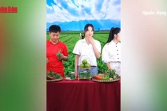 [Video] Quy định rõ trách nhiệm của người nổi tiếng trong quảng cáo trên môi trường số