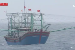 [Video] Biển Đông có thể đón 7 cơn bão trong 3 tháng tới