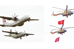 Rạng rỡ Việt Nam