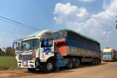 Xe hàng hóa ở cửa khẩu Tây Ninh. (Ảnh: VGP)