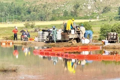 Lực lượng chức năng triển khai phao quây khoanh vùng ô nhiễm tại xã Vạn Tường, Khu kinh tế Dung Quất.