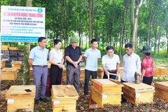 Chi bộ 4 tốt thôn Đông Nam là mô hình tiêu biểu, có sức lan tỏa cao tại địa bàn.