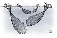 Biếm họa: GATIS SLUKA