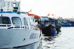 Ngày 17/1, Hiệp ước Biển cả chính thức có hiệu lực. Ảnh: SONG ANH