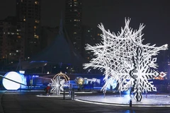 Rực rỡ “bức tranh ánh sáng”