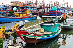 Không chủ quan, lơ là khi chống bão