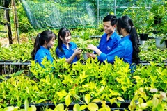 Anh Phúc chia sẻ kinh nghiệm trồng hoa cẩm cù với các đoàn viên, thanh niên địa phương.
