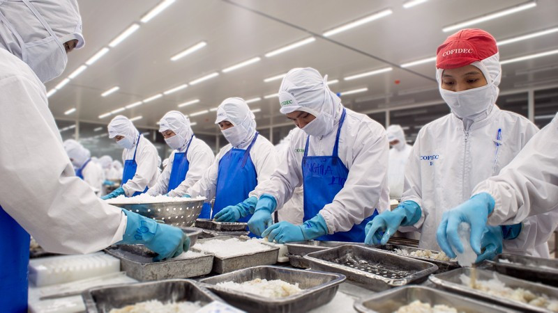 Sản xuất tôm đông lạnh xuất khẩu tại Công ty Phát triển kinh tế Duyên Hải (COFIDEC), Thành phố Hồ Chí Minh. (Ảnh: CTV) cofidec.jpg
