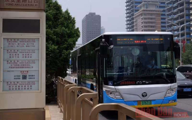 Xe buýt điện đang dần thay thế xe buýt động cơ đốt trong. 