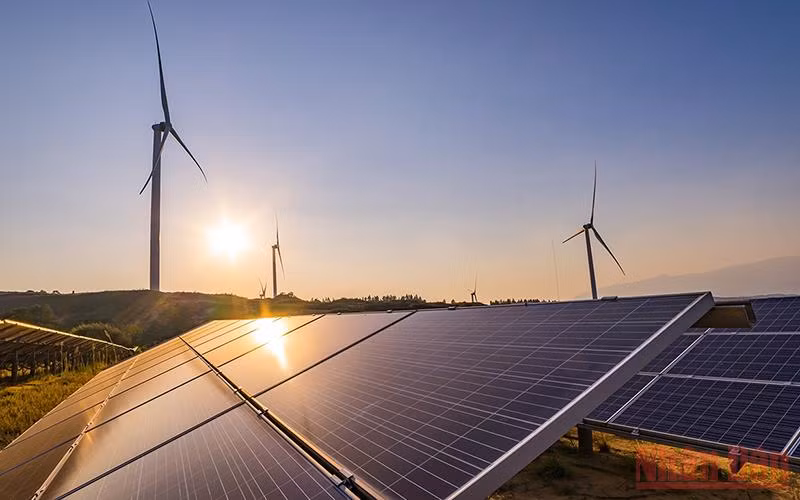 Năng lượng tái tạo được quan tâm trong quy hoạch điện VIII.