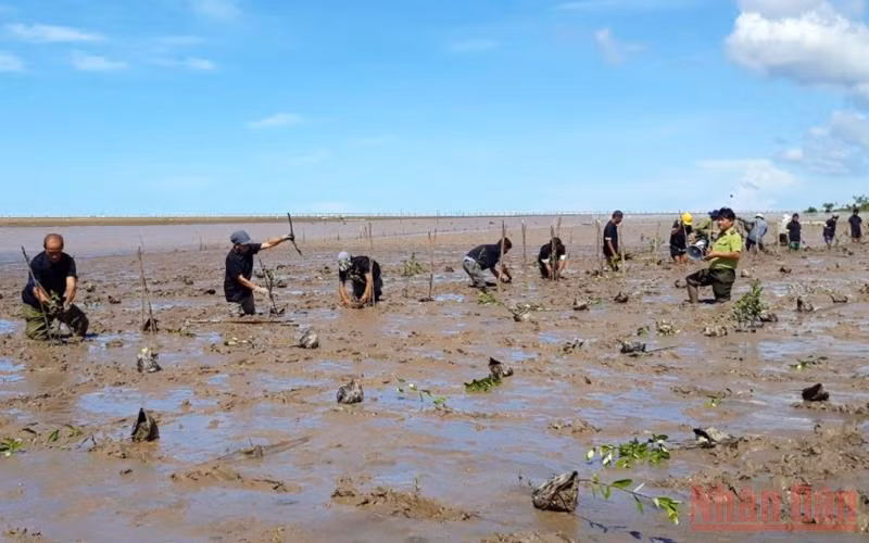 Đạp xe và trồng rừng hưởng ứng ngày môi trường thế giới tại vùng biển Sóc Trăng -0