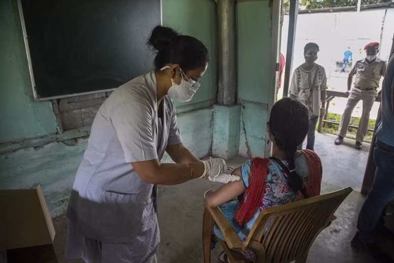 Ấn Độ cảnh báo về bệnh nấm đen và phương pháp chữa Covid-19 bằng chất thải của bò -0