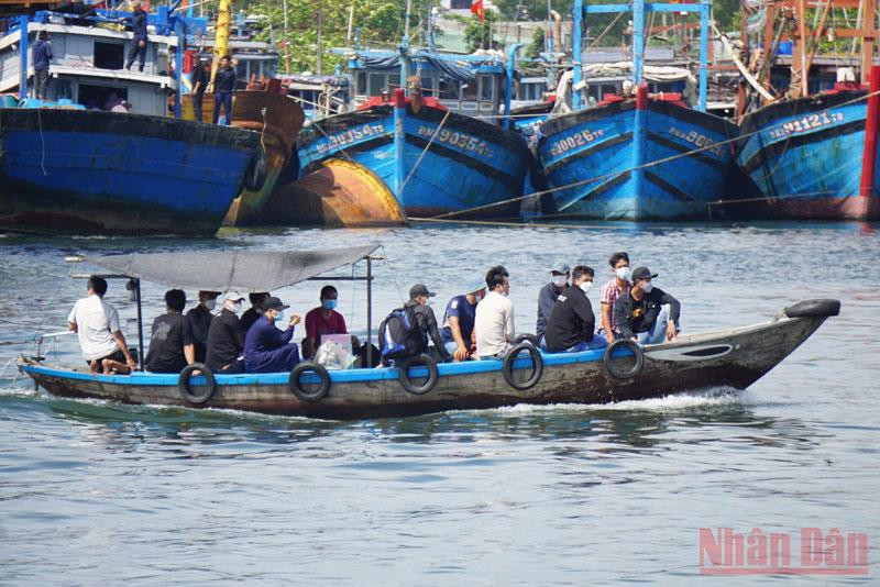 Các ghe nhỏ chở ngư dân ra tàu cá neo ngoài vịnh. Hàng trăm tàu cá ngư dân miền trung tất bật vươn khơi -0