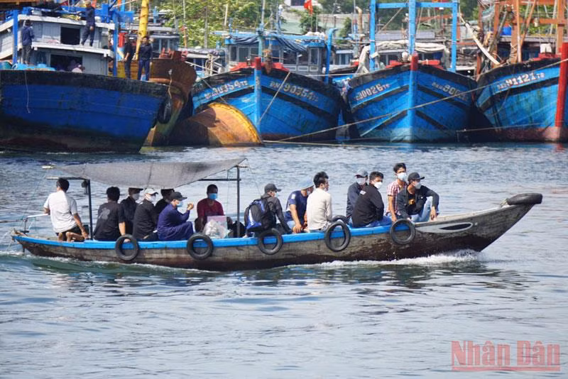 Hàng trăm tàu cá ngư dân miền trung tất bật vươn khơi -0