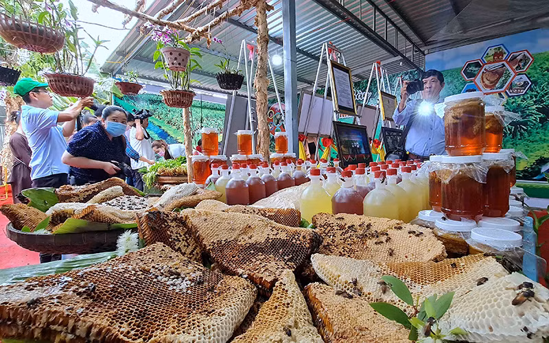 Xác lập tổ ong và lẩu mắm lớn nhất Việt Nam tại Cà Mau -0