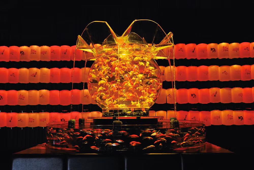 Huyền bí sắc màu Art Aquarium ở thủ đô Tokyo -0